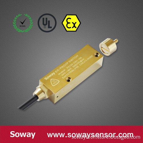 Vehicle Magnetic Door Sensor